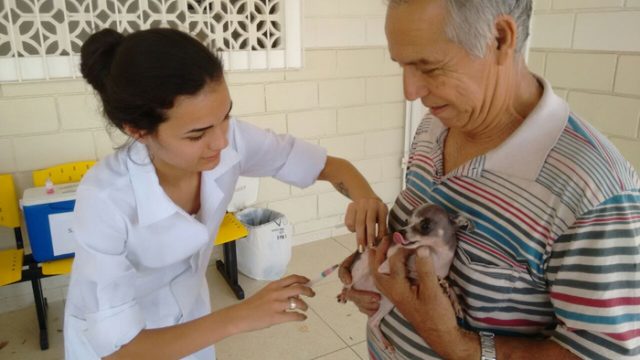 Campanha de Vacinação Antirrábica supera  3.600 doses em Taubaté