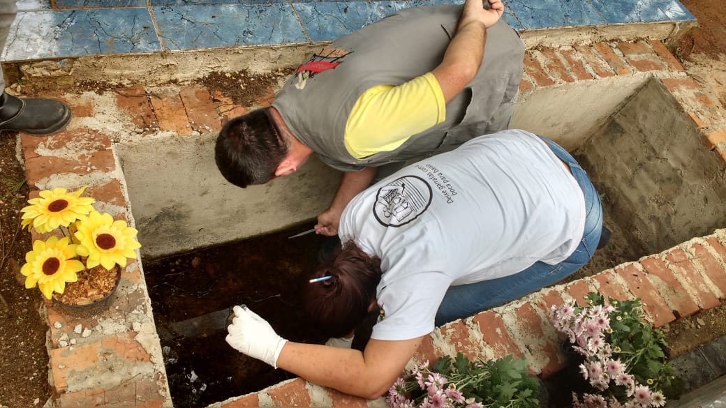 Mutirão pós-Finados encontra criadouros em cemitérios