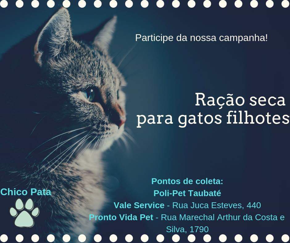 ONG faz campanha de arrecadação de ração para gatos do CCZ