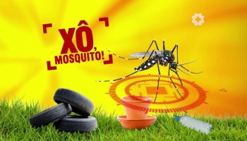 Arrastão Xô Mosquito recolhe 4,64 toneladas de materiais