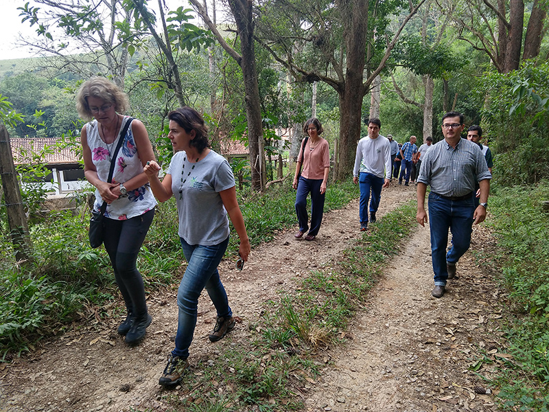 Comitiva Sueca conhece projeto de reflorestamento realizado pelo Corredor Ecológico