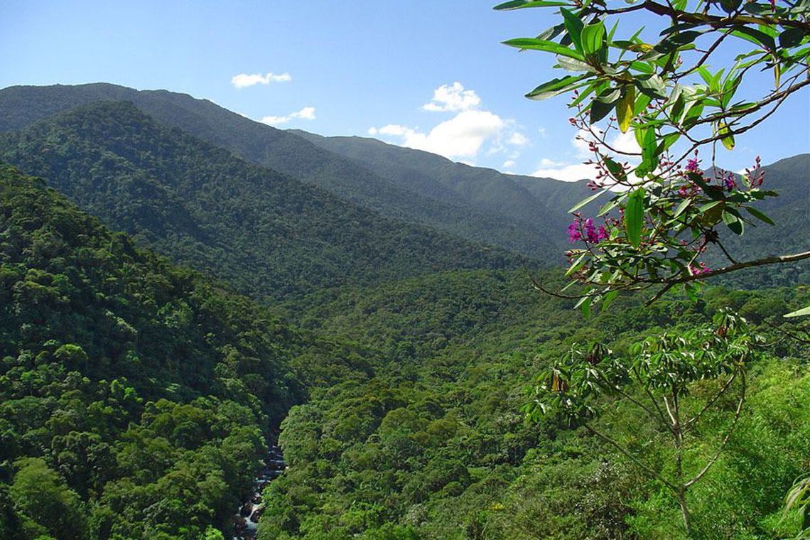 Itatiaia registra menor temperatura do país: 5,4 graus negativos