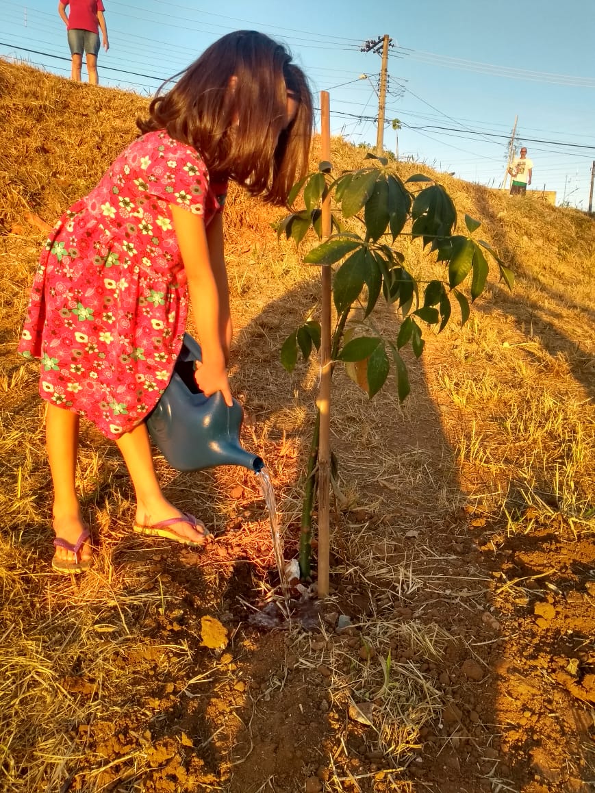 Secretaria de Meio Ambiente planta mais de 2.000 mudas