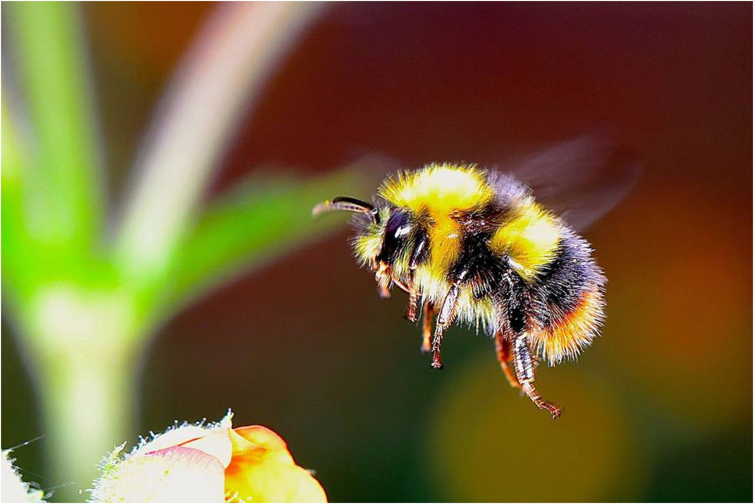 A natureza já não pode mais sustentar os humanos