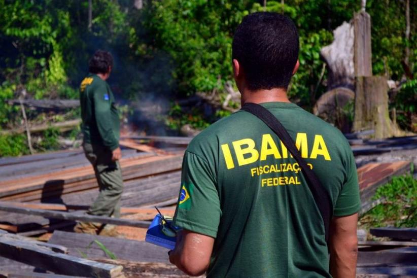 Ibama pode contratar 1.481 trabalhadores temporários